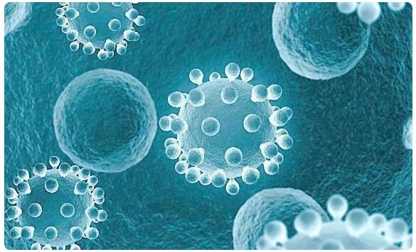 你不知道的空气微生物采样器小知识